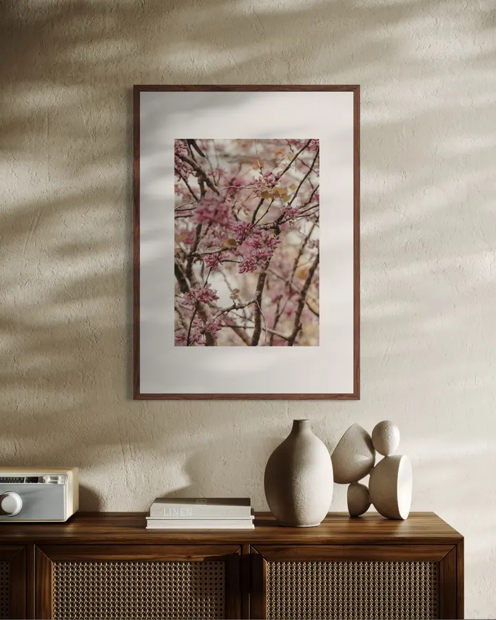 Pink Blossom Branches - Michal Marko