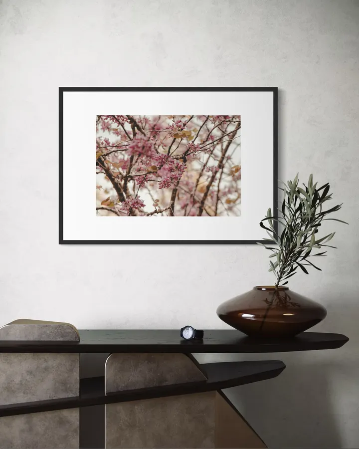 Redbud Blossom Branches - Horizontal - Michal Marko