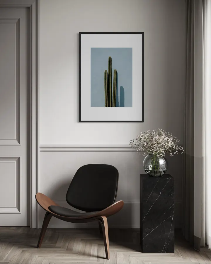 Desert Cactus - sara fraysse