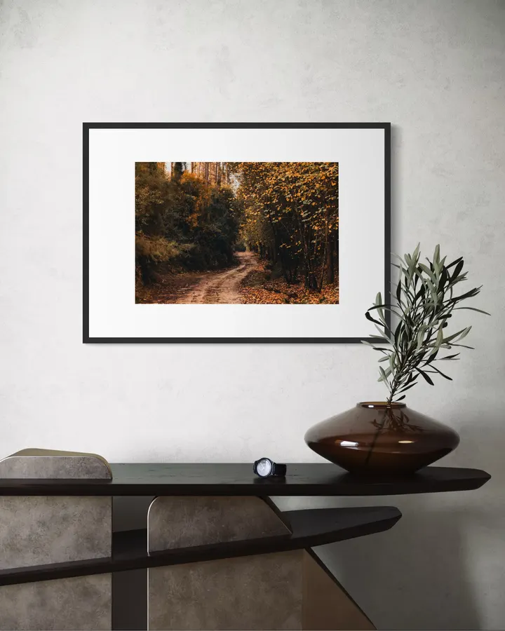 Golden Forest Trail - Horizontal - Michal Marko