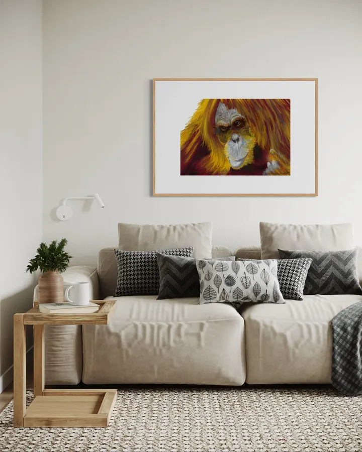 Orangutan_01
