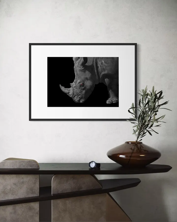Rhinos_02-02_BW