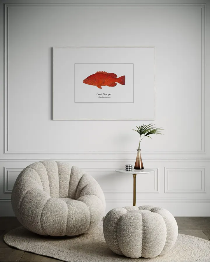 ユカタハタ Coral Grouper ― Cephalopholis miniata|Natural History Fish Art