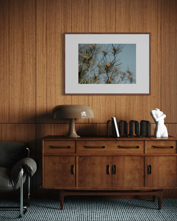 Pine Buds in Bloom - Michal Marko