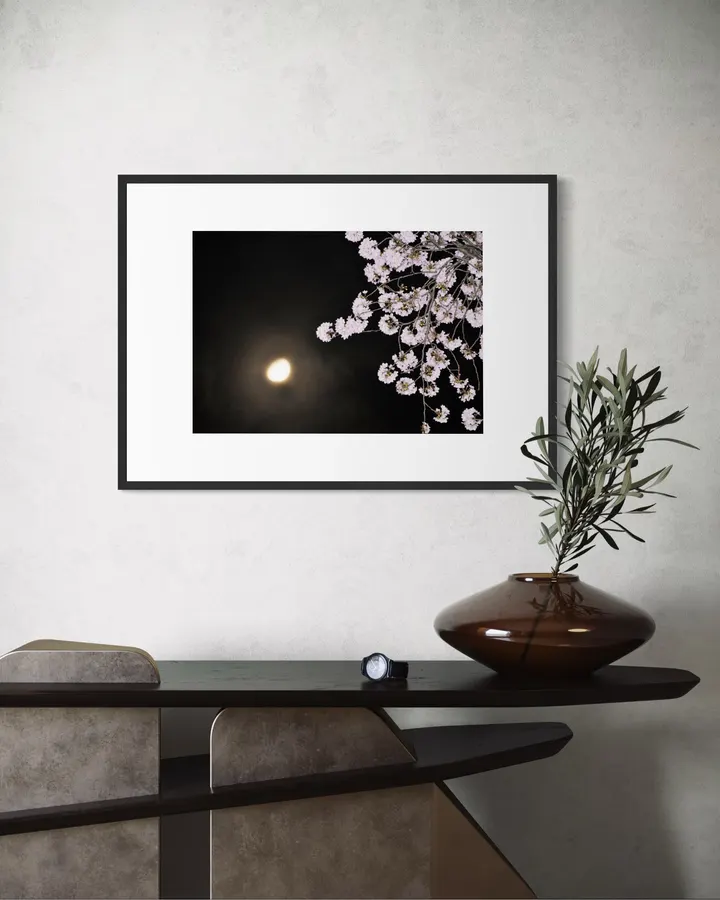 千鳥ヶ淵の夜桜#3