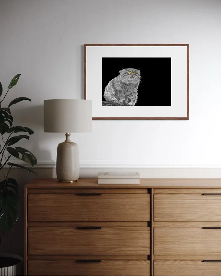 Manul_BW