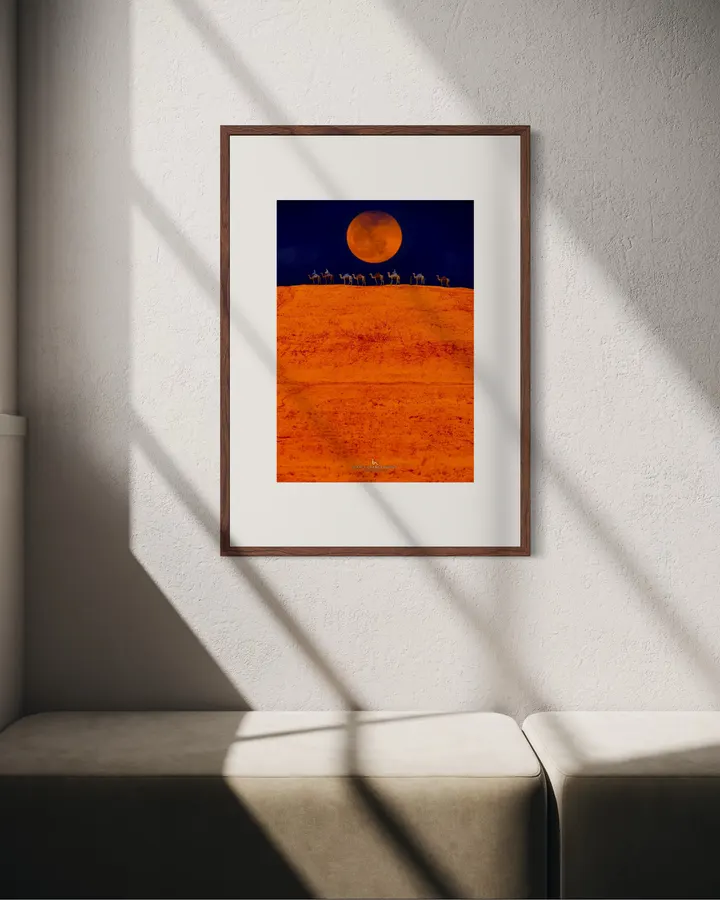 ORANGE JOURNEY(SWPA2016受賞作品)