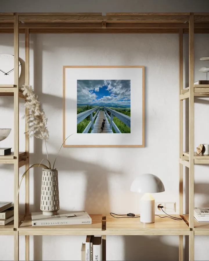 Bridge to the Sky
