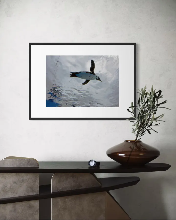penguin_4