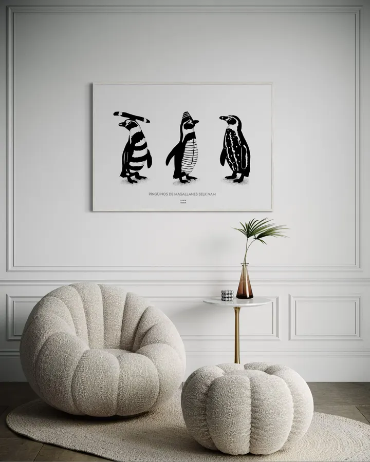 Pingüinos de Magallanes Selk´nam - CUACH  CUACH