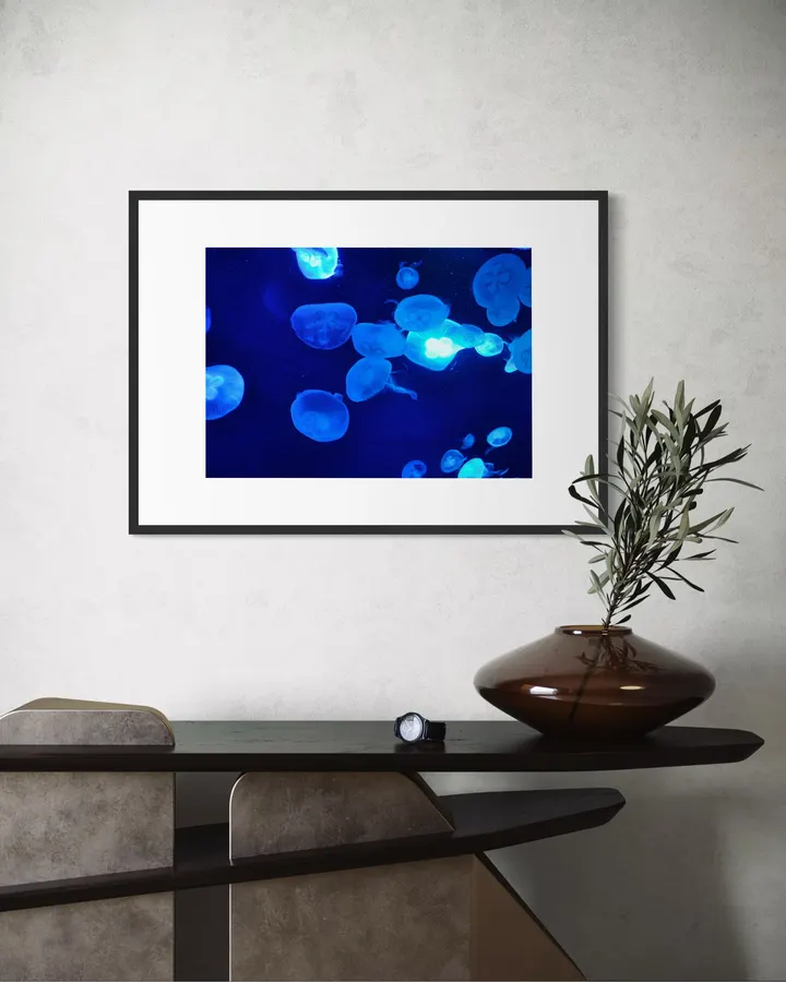 JELLYFISH
