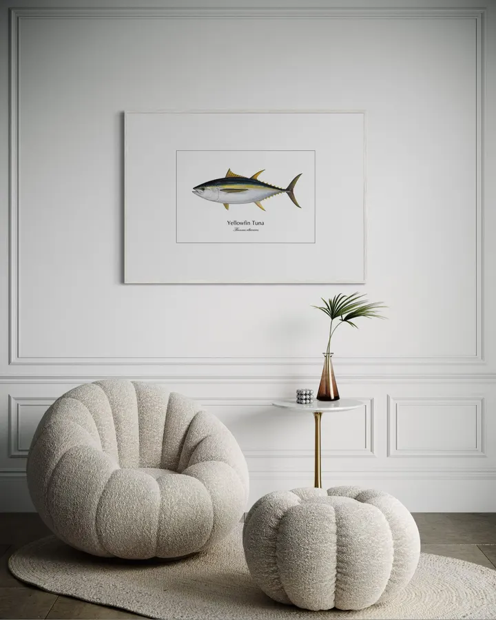 キハダマグロ Yellowfin Tuna ― Thunnus albacares｜Natural History Fish Art - MARIS Natural History Prints