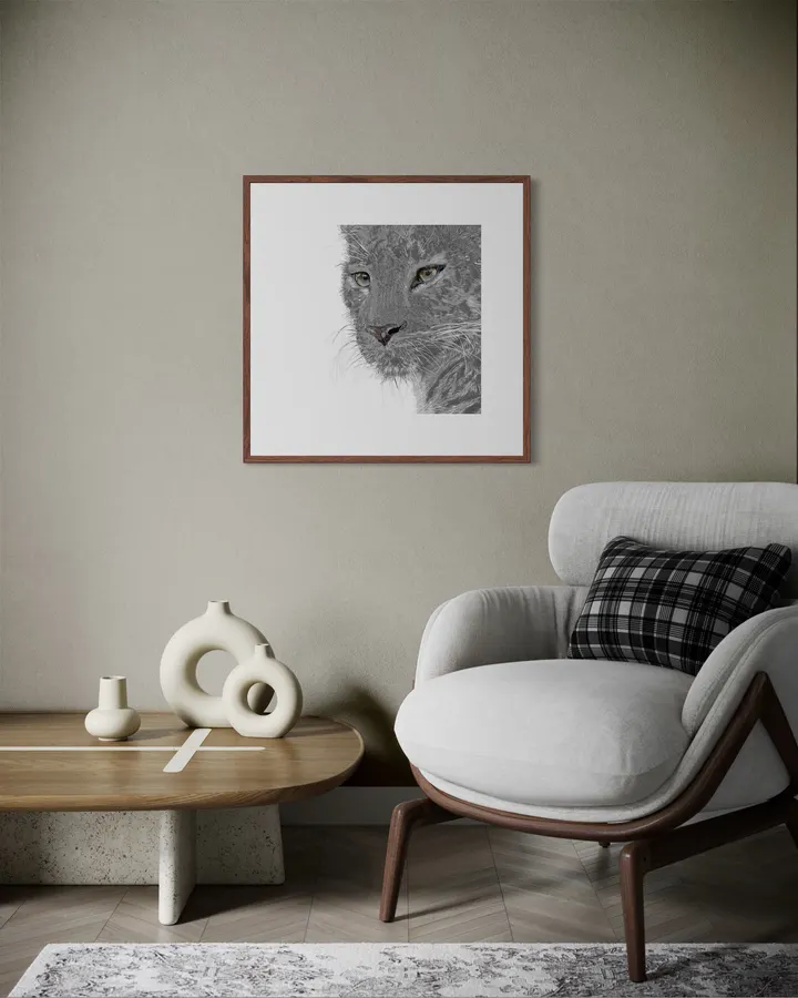 Snow_Leopard_01_BW