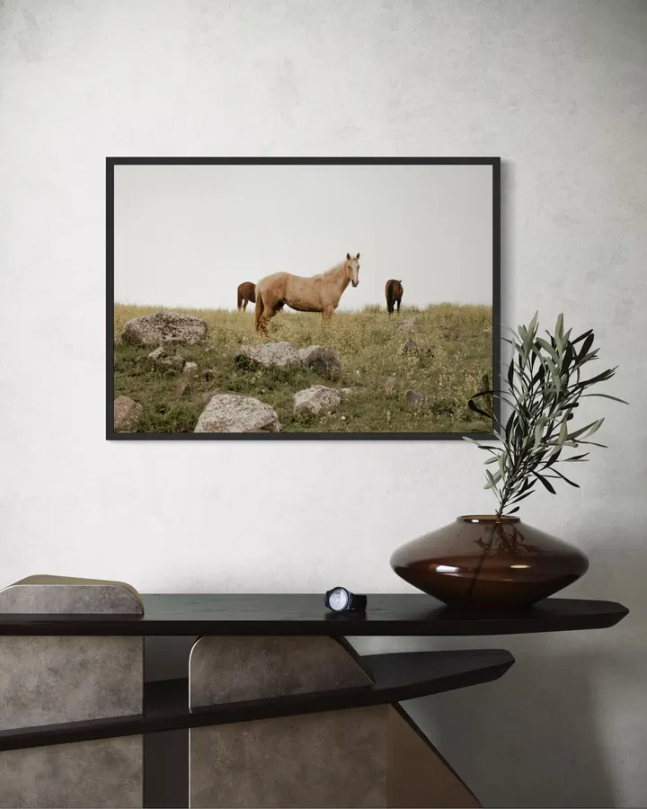 Horses in Wildflowers - Michal Marko