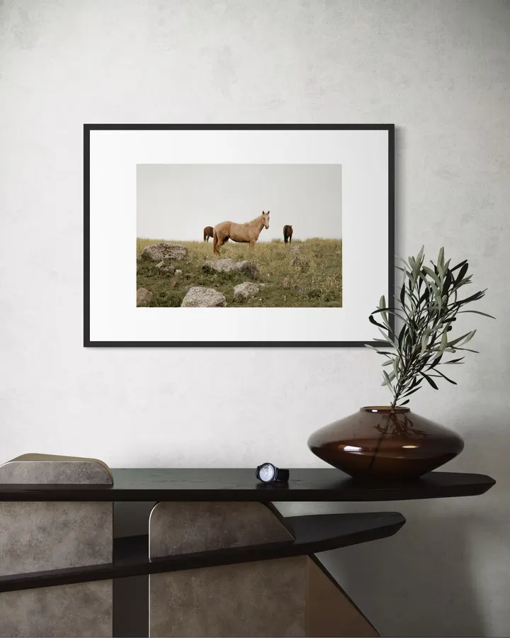 Horses in Wildflowers - Michal Marko