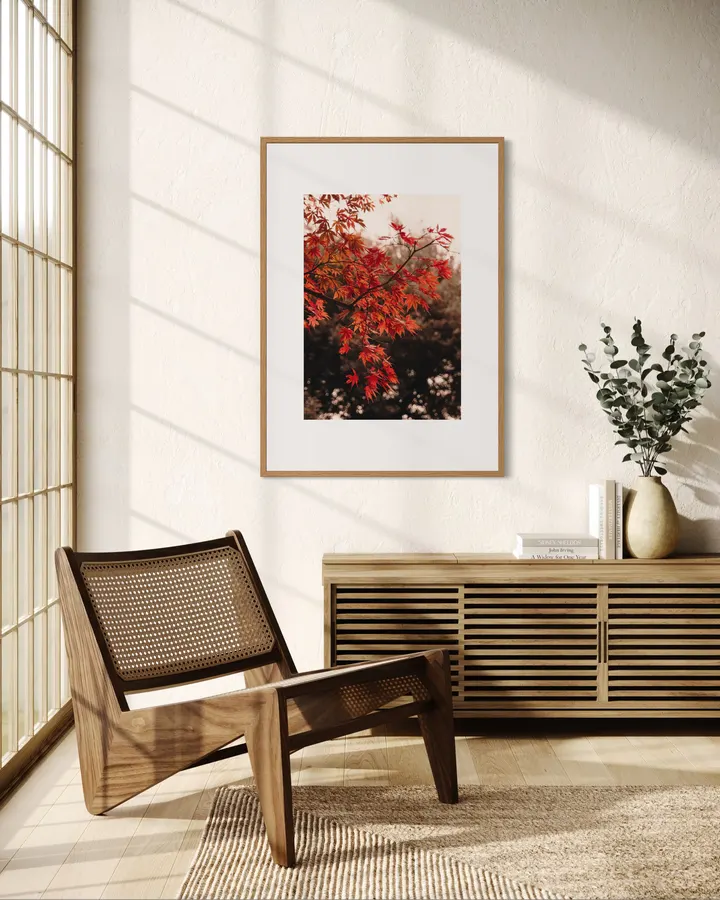 Vivid Maple Leaves