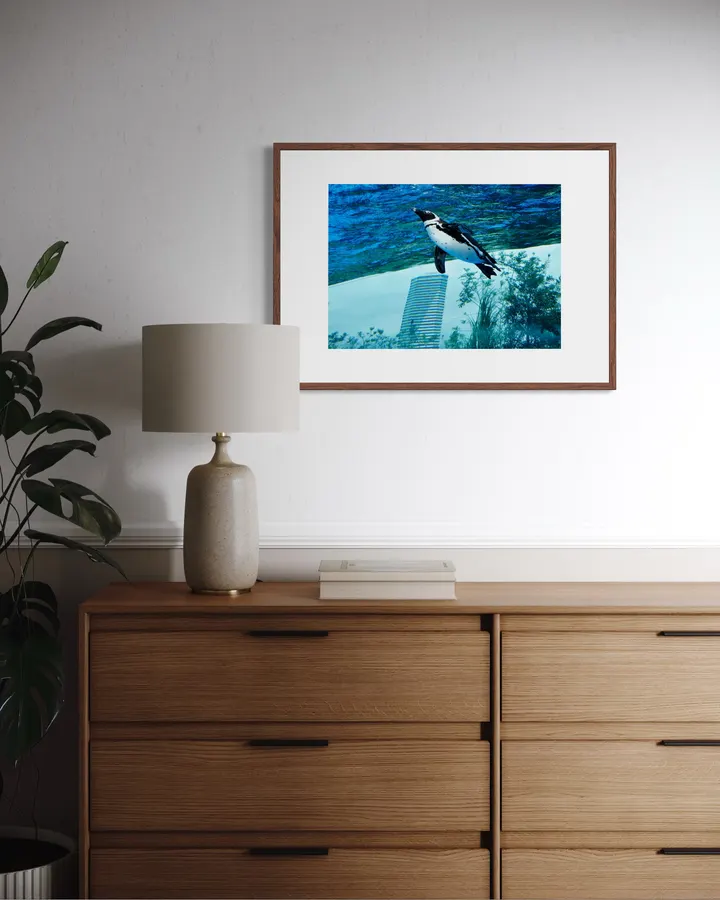 penguin_3