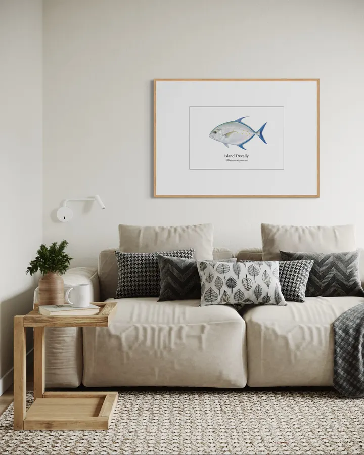 ナンヨウカイワリ Island Trevally ― Ferdauia orthogrammus|Natural History Fish Art
