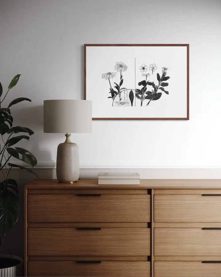 Japanese Wall Art Print - Wild Chrysanthemum Study