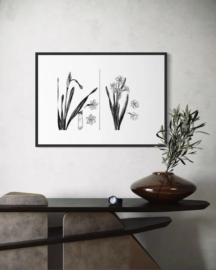 Japanese Wall Art Print - Narcissus Study