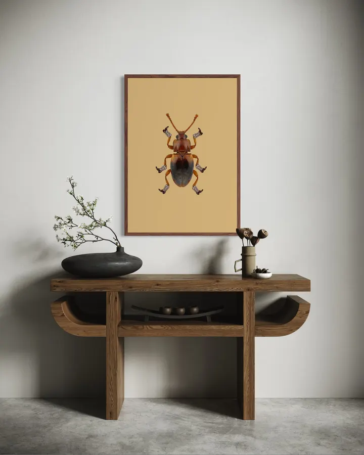 Billy The Booted Beetle - Anyone Can Yeehaw